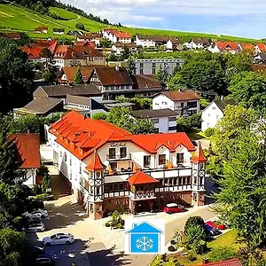 Rebstock Baden-Baden